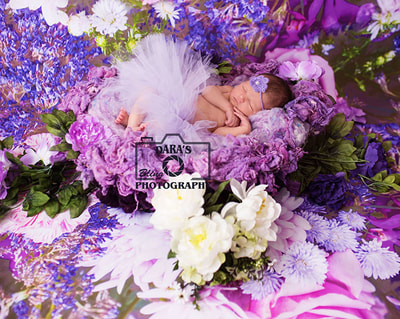 Hollywood Birth Center birth photographer newborn baby girl purple tutu purple flower nest