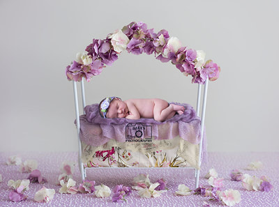 Buy Buy baby birth photographer newborn girl purple floral bed