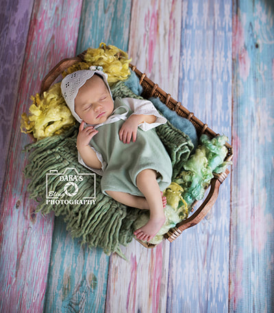 Hallandale birth photographer newborn girl green basket
