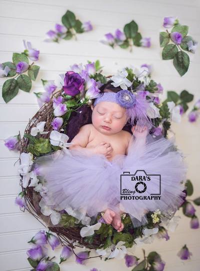 Parkland newborn photographer baby girl purple tutu floral nest