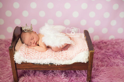 Miami Springs newborn photographer newborn baby girl white angel wings princess crown