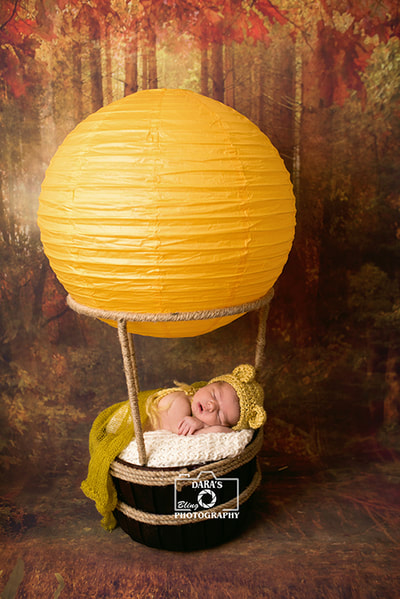 Miramar newborn baby photographer rainbow baby yellow bear hot hair balloon