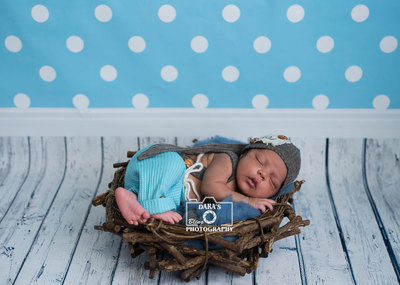 Lauderhill newborn baby boy photographer baby in a wooden nest