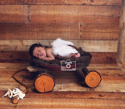 Coconut Creek Newborn photographer baby boy in a wheel cart with white angel wings