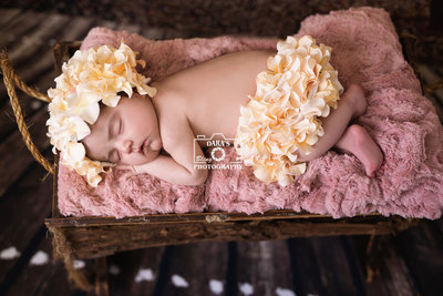 Southwest Ranches newborn photographer newborn baby girl in ivory flower bonnet and bloomers