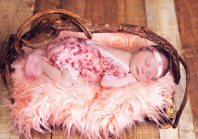 Mount Sinai newborn photographer baby girl on fur in a nest