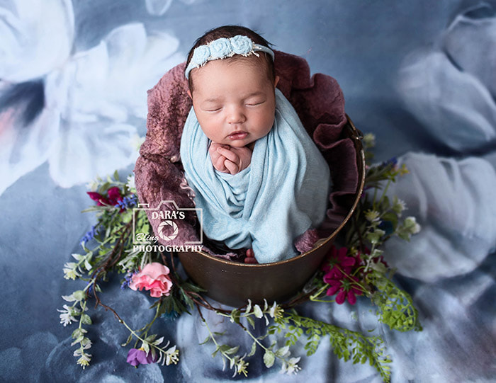 newborn photography studio Miramar baby in bucket