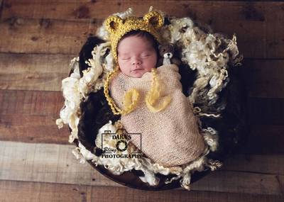 Sunny Isles birth photographer newborn boy gold bear in best bowl