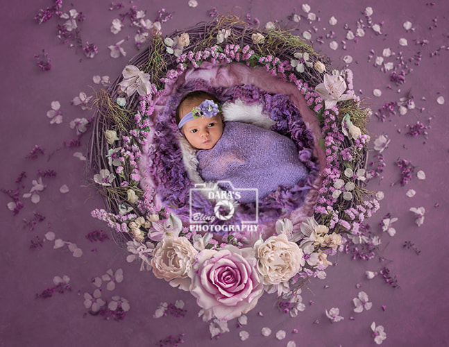 Davie Florida newborn baby girl photography session purple floral nest