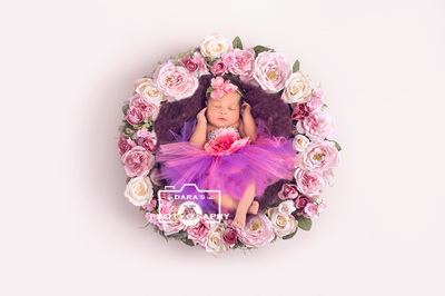 Memorial Hospital newborn photographer Pembroke Pines newborn girl floral nest tutu