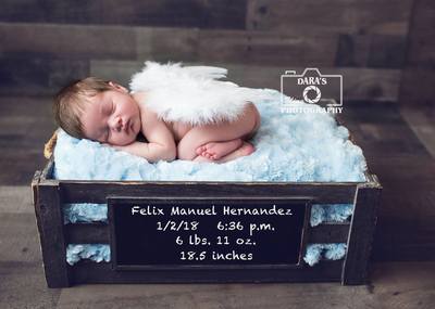 Broward birth photographer newborn boy angel wings crate with birth information
